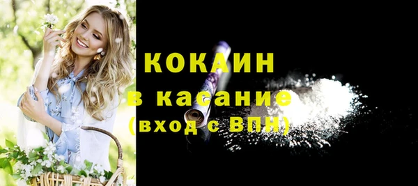 гидра Богородицк