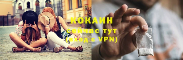 гидра Богородицк