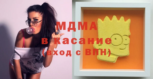 гидра Богородицк
