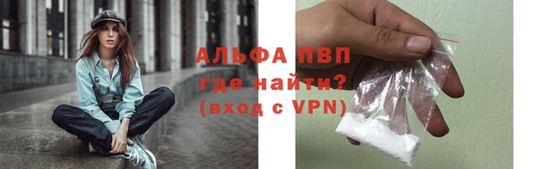 гидра Богородицк