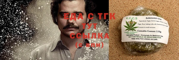 гидра Богородицк