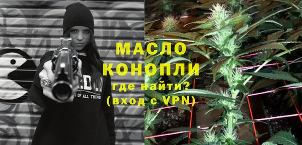 гидра Богородицк