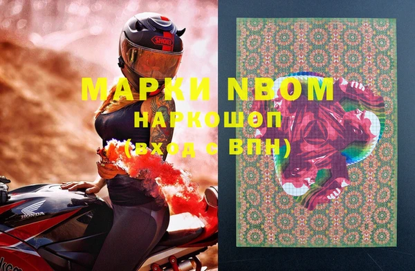 гидра Богородицк