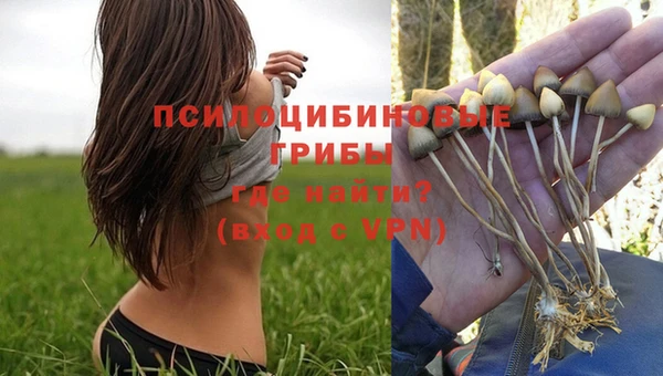 мяу мяу мука Богородск