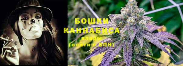 гидра Богородицк