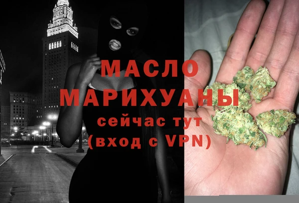 гидра Богородицк