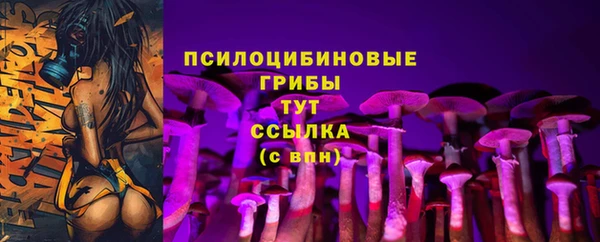 гидра Богородицк