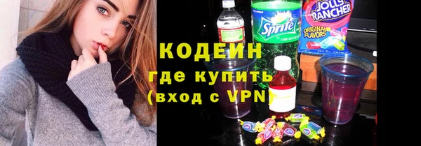 гидра Богородицк